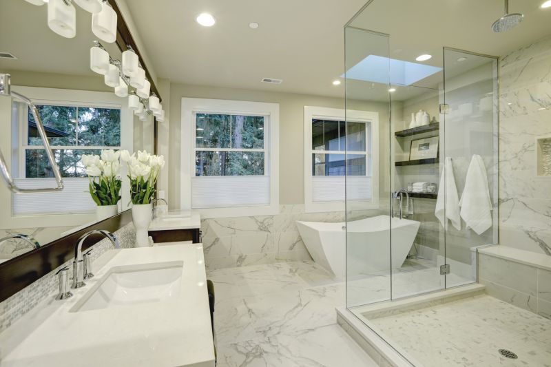 Bathroom Renovations And Remodeling